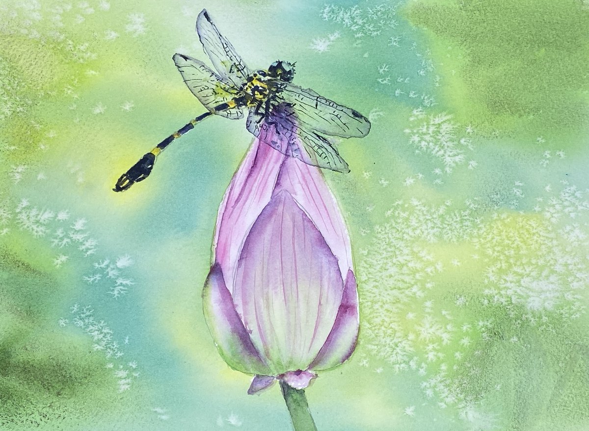 Check out my latest exclusive tutorial on my Patreon membership: patreon.com/karenriceart "Dragonfly on Flower Bud" #watercolor #watercolour #watercolorflowers #flowerpaintings #watercolordragonfly #watercolours #watercolorbeginners #Howtopaintwatercolours #karenriceart