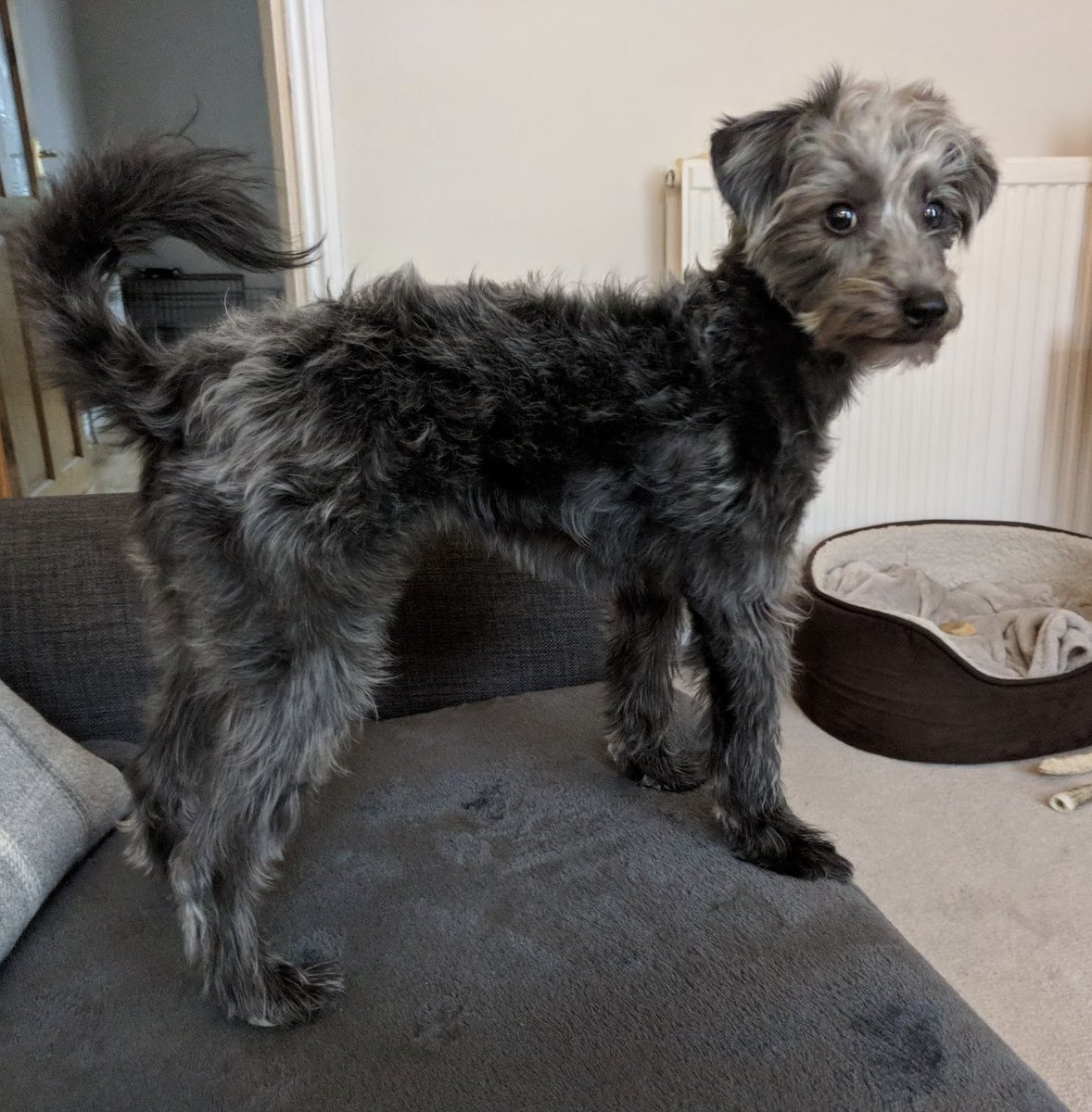 Dan (MostlyDecentGames) tweet media