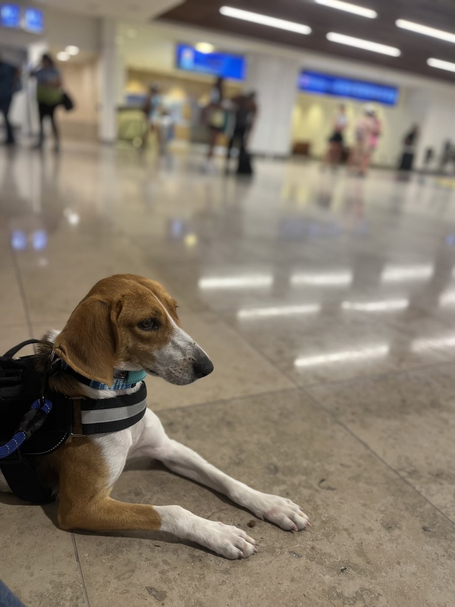 EIU Police Department tweet media