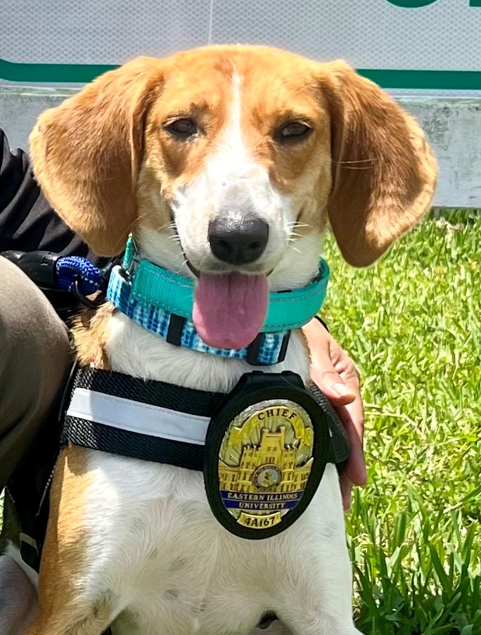 EIU Police Department tweet media