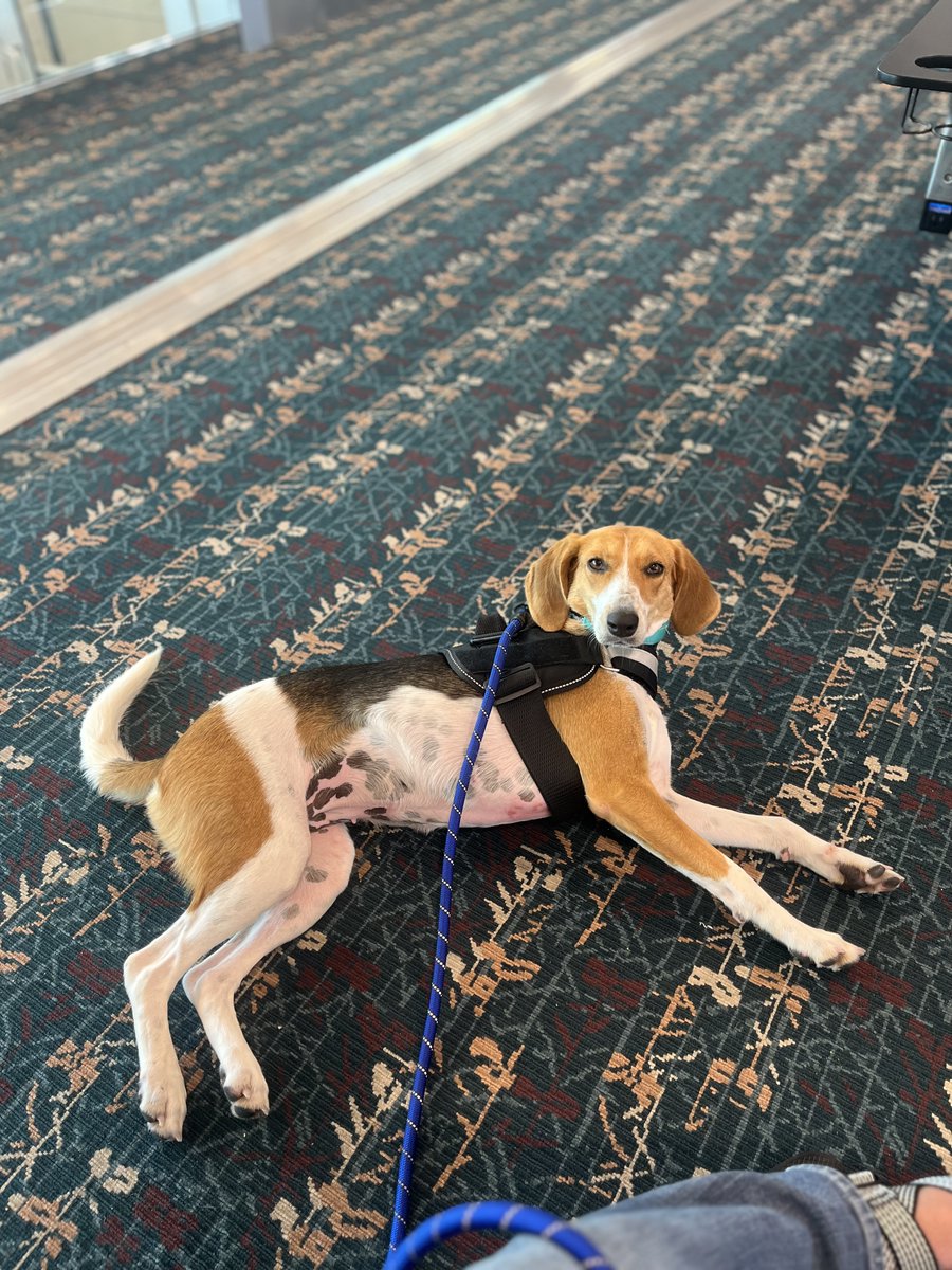 EIU Police Department tweet media