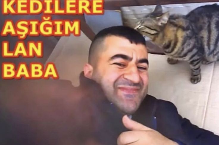 alaska (@nightftmoon) on Twitter photo 