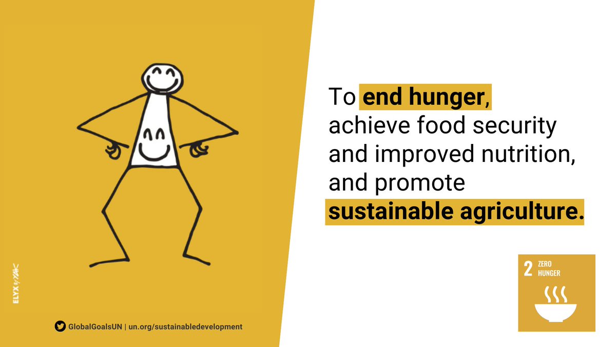 Access to nutritious food is a basic human right! 🌽🥦 Let's work together to achieve #ZeroHunger by supporting sustainable agriculture, promoting food security, and ensuring everyone has access to healthy and affordable food. 🍎🌾un.org/sustainabledev…  #SDG2 #GlobalGoals