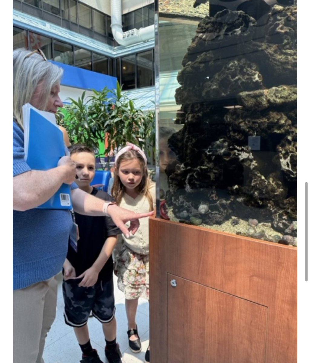 Our first graders created a loom bracelet business and donated all proceeds to Cohen’s Children’s Hopsital! They got to go on a special tour!