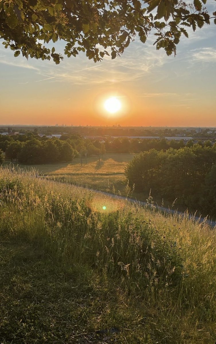 Schönen Abend everyone 🙋🏻‍♀️