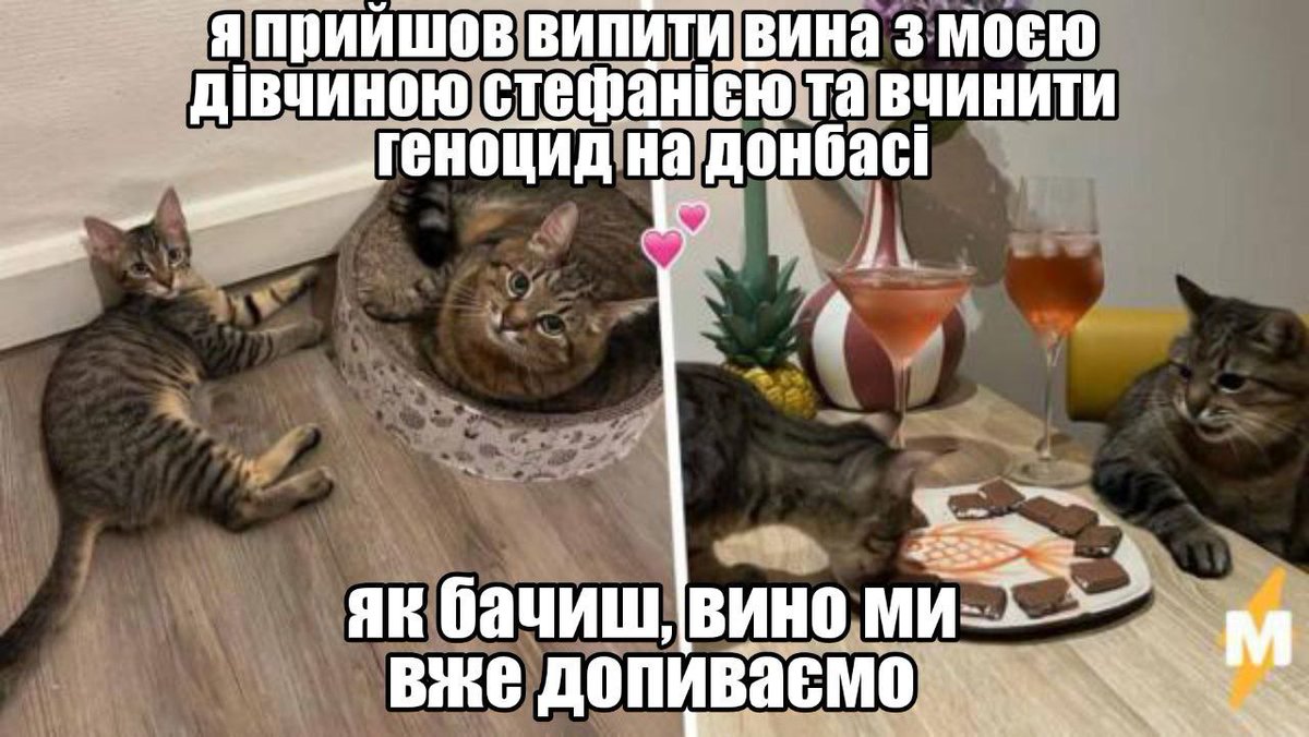 💞

#меми #гумор #мем #приколи #сміх #україна #смішно #memes #прикол #ржака #lol #humor #жарт #ржач #лол #жарти #Ukraine #хаха #весело #настрій #ржачно #лайки #ukr #ua #мемчики