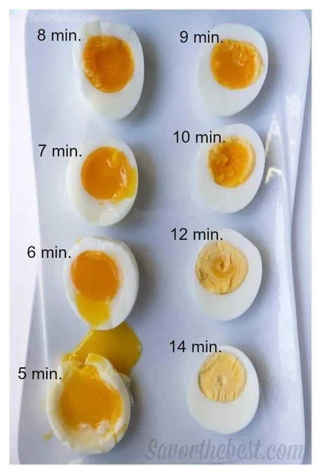 EspacioNoticias's tweet photo. #ChecaElDato 👀👇 
¿Con cuántos minutos de cocción prefieres el huevo cocido? 🍳🥚 https://t.co/vaGrymNlN0