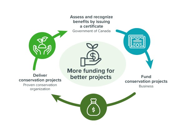 Want to know how @environmentca is proposing to harness private funding to protect biodiversity and meet its #CBD targets? Come and learn about the Conservation Exchange @CSEE_SCEEmtgs @beepeg2023 June 12, 3pm in MR-04. @eccc_news