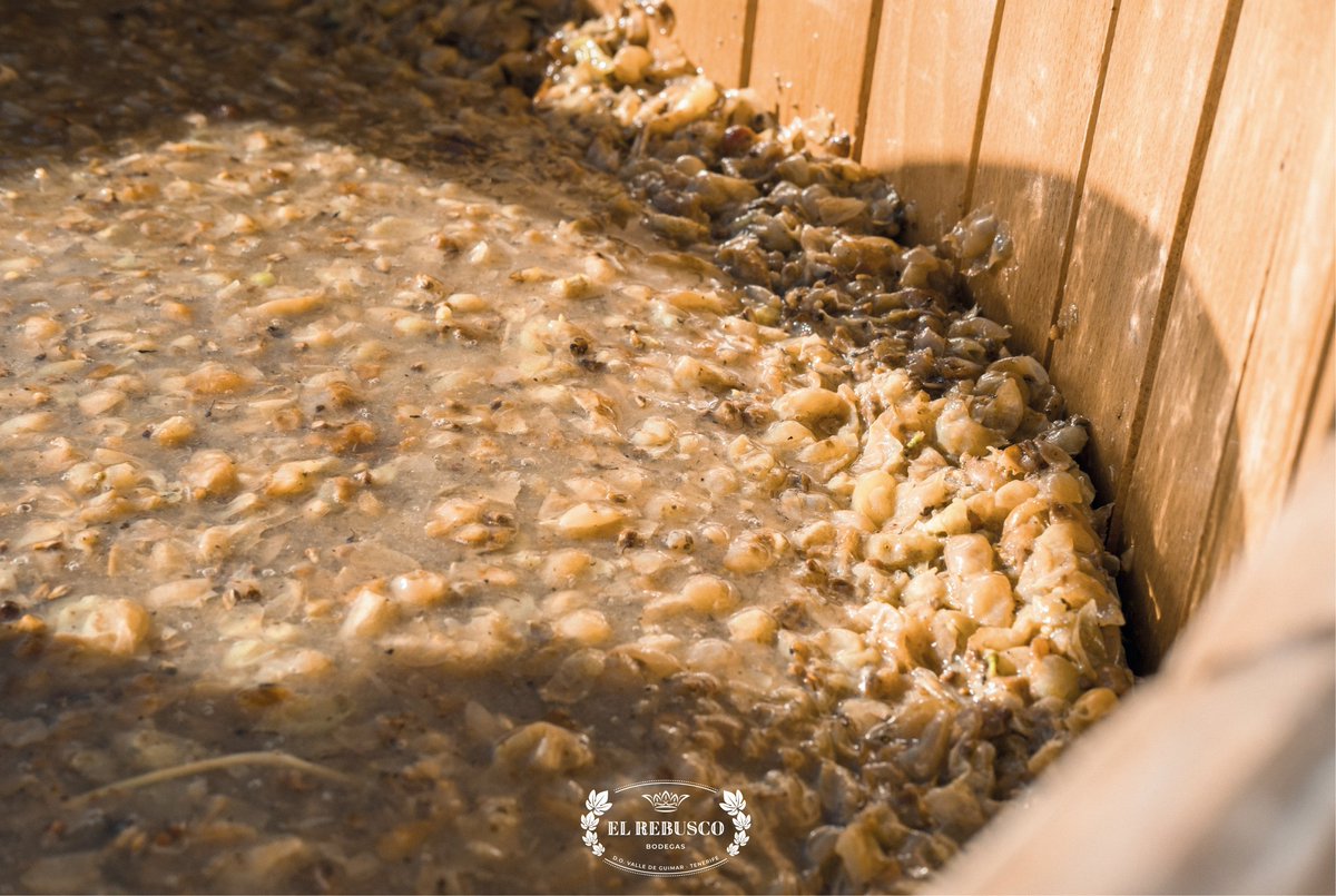 〰️ A partir del 1 de julio la bodega cierra para preparar la próxima #vendimia. Para compras podrás contactarnos en el 670540401 o info@elrebusco.es #vinosdeTenerife #isladevinos #IslasCanarias #CanaryIslands #enoturismo #tiendaonline #vinocanario #ElRebuscoBodegas