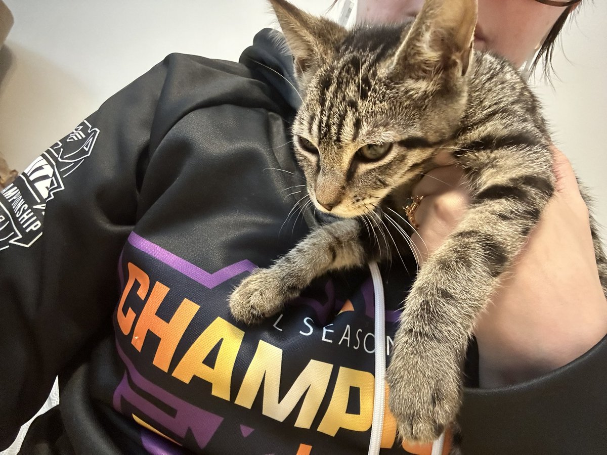 Talia Dawnfeather tweet media