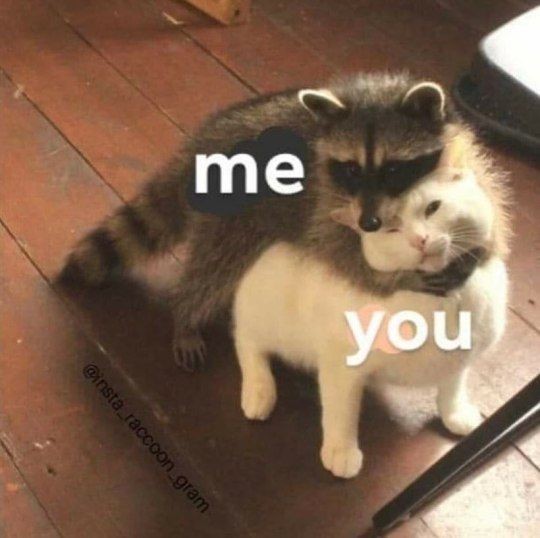 patrickgibscn's tweet photo. @jessiexmeixli Embrace alert! Deploying warm hugs to save the day. May the trials you're currently facing meet its. demise soon. https://t.co/8tn8OuYRZu
