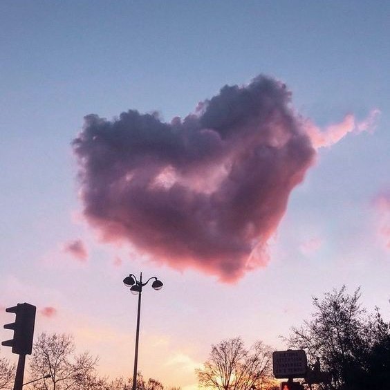 AfetoTarot's tweet image. 🫀✨FREE CARD DIA DOS NAMORADOS?🌹

apenas perguntas de sim ou não
regras:

❤️‍🔥curtir o tweet e dar rt
❤️‍🔥seguir a página
❤️‍🔥pergunta nos comentários