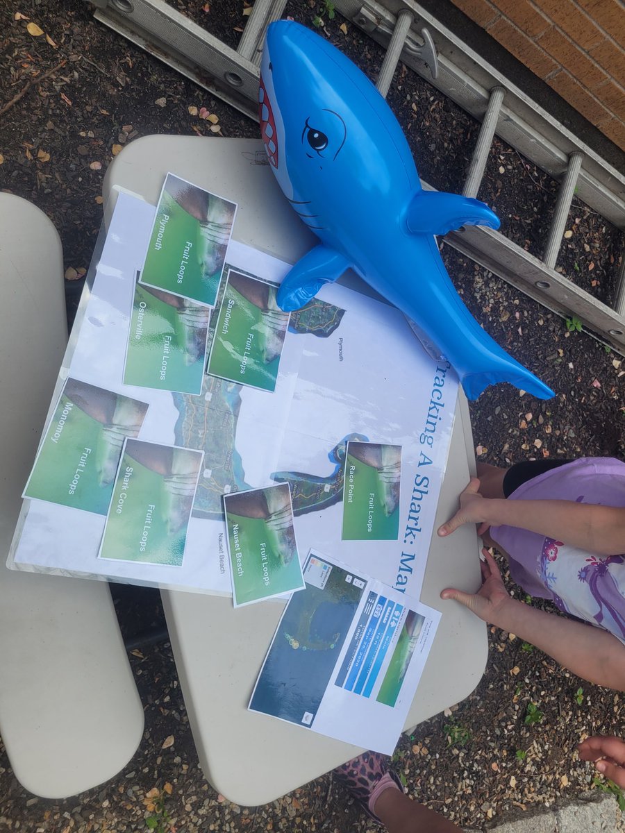 Amanda Gallerani tweet media