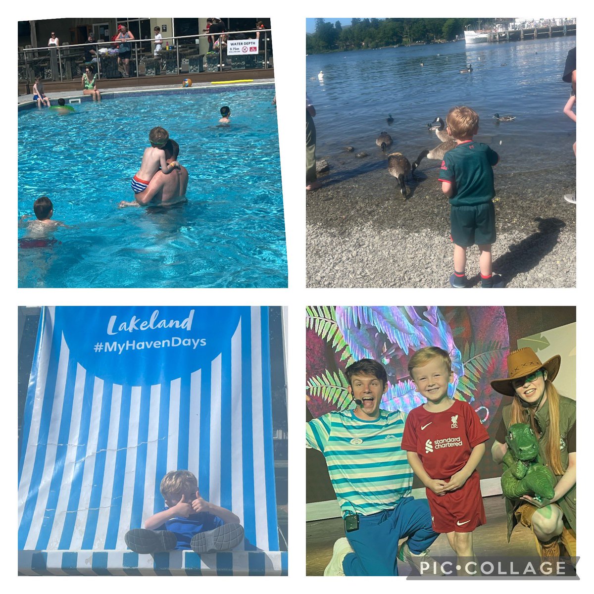 Nadine0786's tweet photo. Woody had a lovely half term at Haven @PCPSwans https://t.co/OPY2VVGxaD