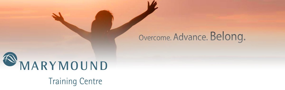 Marymound Training Workshop - Harm Reduction Introduction and How Systems Create Harm - buytickets.at/marymoundtrain…