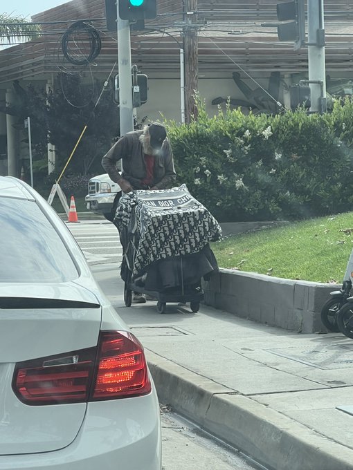 Homeless people in LA are so unique. One time I brought sandwiches to the homeless and a guy refused