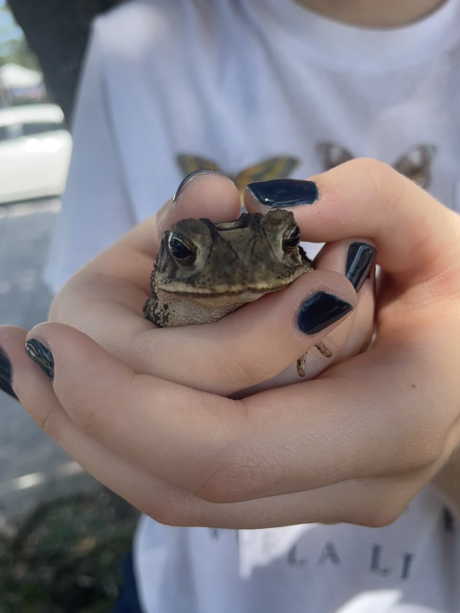 bella0426_'s tweet photo. @theywithnoname_ my dogs and a frog 4 u :) https://t.co/OQtQHSMLvh
