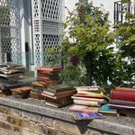 Photo by The Small Library Company (@TheSmallLib)