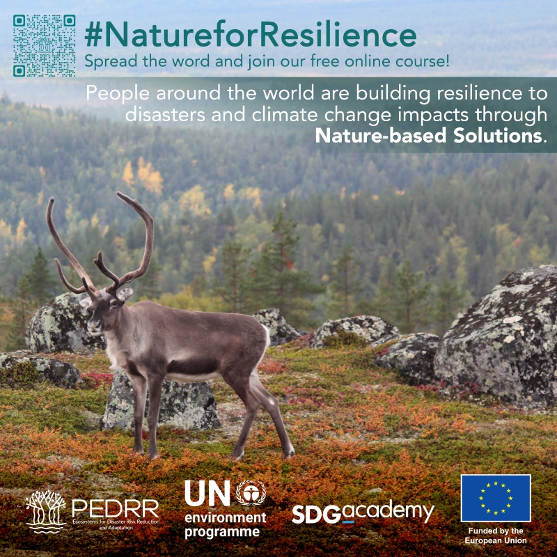 Nature offers many ways to address the #ClimateCrisis and increase resilience to disasters.

This free online #NatureForResilience course on nature-based solutions explains how.

Find out more: pedrr.org/mooc