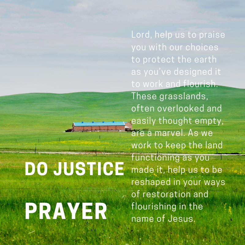 ClimateWitnessP's tweet photo. 5,000 square km of prairie grasslands in Alberta, Saskatchewan and Manitoba will be protected.  The ecosystem is the least protected but one of the most important for its role in flood and drought prevention, soil health, and natural carbon sinking. 

https://t.co/oANfGozknp https://t.co/UaciRi8x1P