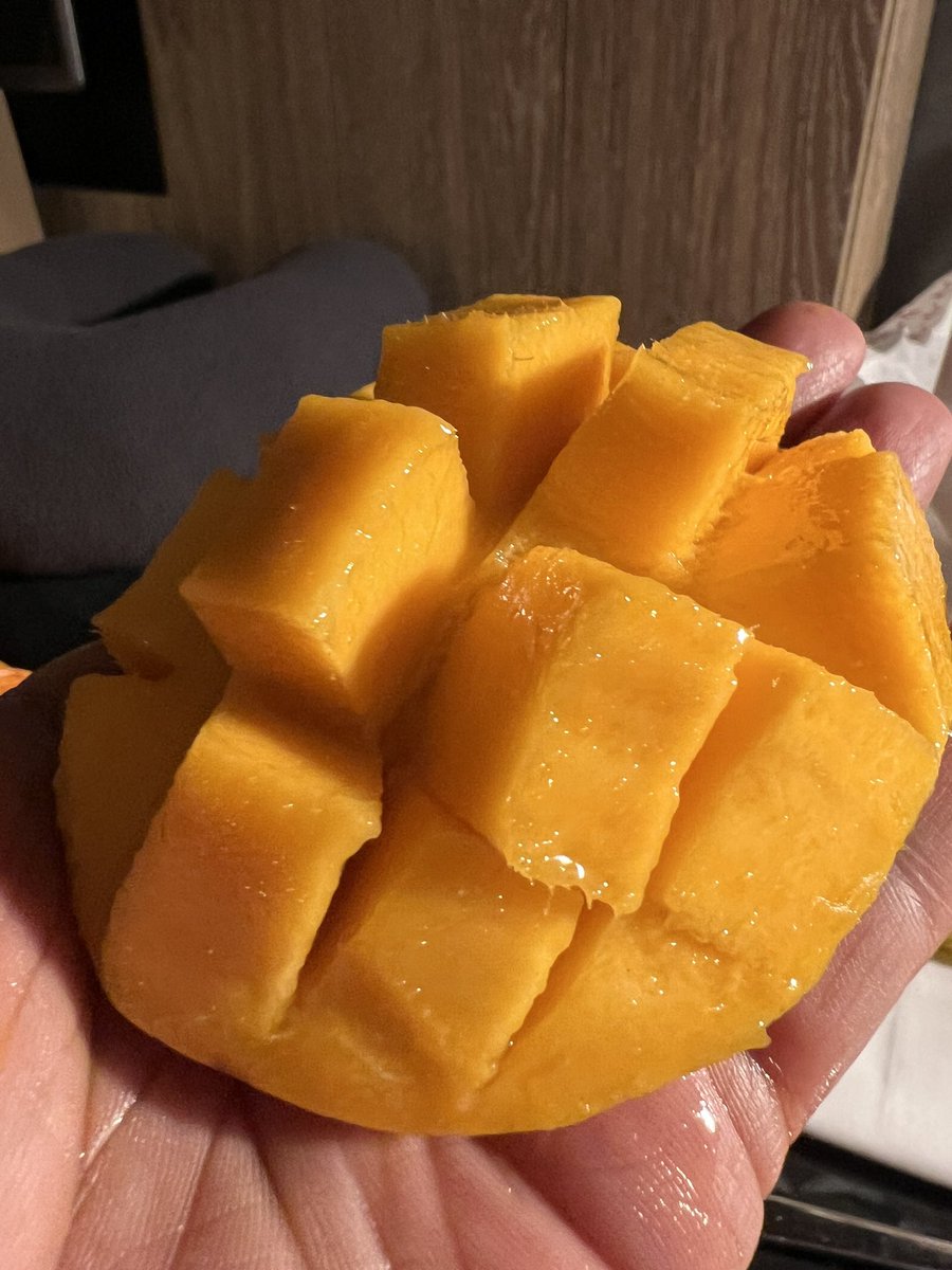 adshukla's tweet photo. @harikondabolu I had my 🥭 moment. I had lunch with my cousin in the 🇬🇧 and she included Gir Kesar #Mangoes in the meal 🤯. It is the absolute best #mango I have ever eaten. I will be telling this story for the rest of my life.  #Gujarat https://t.co/bQ8DomtJAd