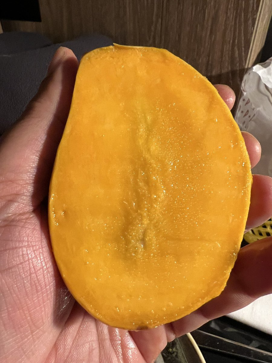 adshukla's tweet photo. @harikondabolu I had my 🥭 moment. I had lunch with my cousin in the 🇬🇧 and she included Gir Kesar #Mangoes in the meal 🤯. It is the absolute best #mango I have ever eaten. I will be telling this story for the rest of my life.  #Gujarat https://t.co/bQ8DomtJAd
