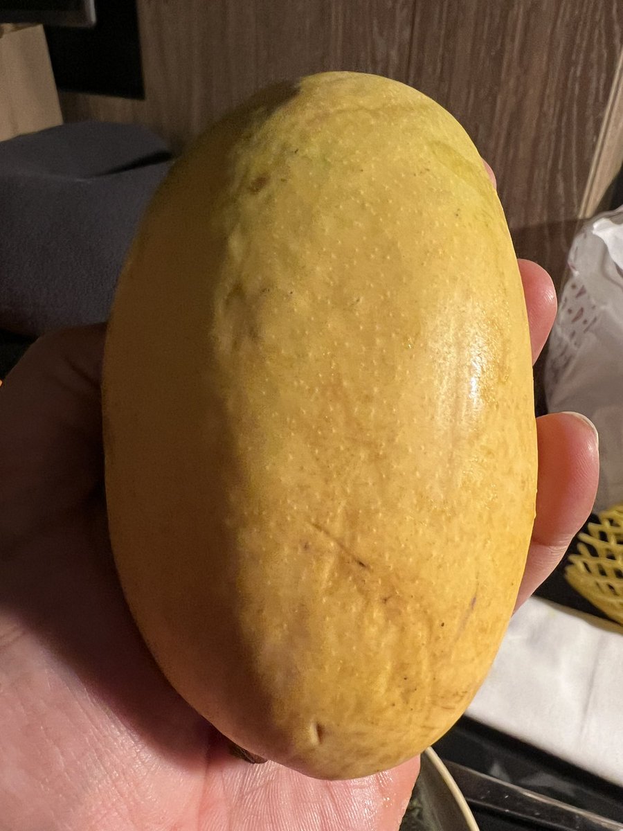 adshukla's tweet photo. @harikondabolu I had my 🥭 moment. I had lunch with my cousin in the 🇬🇧 and she included Gir Kesar #Mangoes in the meal 🤯. It is the absolute best #mango I have ever eaten. I will be telling this story for the rest of my life.  #Gujarat https://t.co/bQ8DomtJAd