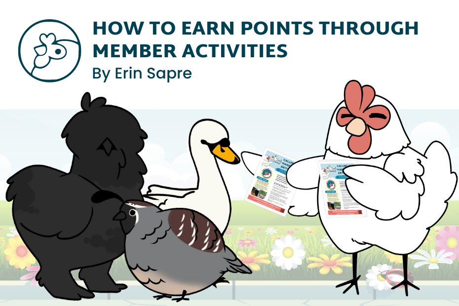 Have you been wondering how you can earn points through Member Activities? 

Check out our blog post that explains it all here: buff.ly/3N2zhR7