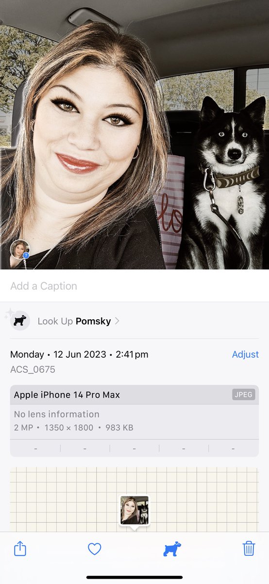 jenny_captures's tweet image. Testing out the new Ios17 beta software on iPhone 14 pro max &amp;amp; I realised in photos it recognised my dog &amp;amp; even the breed ! #ios17 #ios17beta #apple