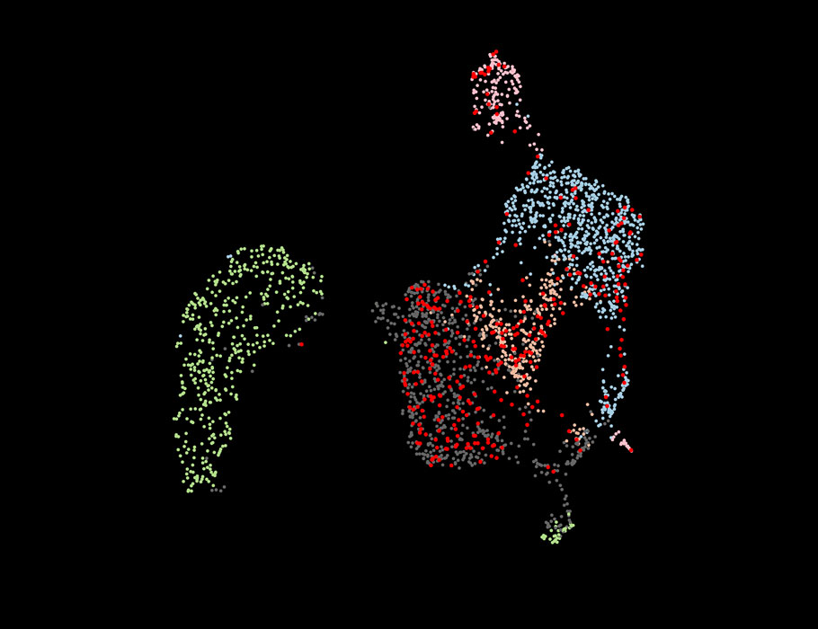 SciImmunology's tweet photo. A new study investigates how intestinal α4β7+ CD8 T cells enhance immune responses against metastatic tumors typically resistant to anti-PD-L1 immunotherapy. @FeliuVirginie @IUCTOncopole 

📄: https://t.co/7rrjtJAHV6 https://t.co/eyzxfUNyF7