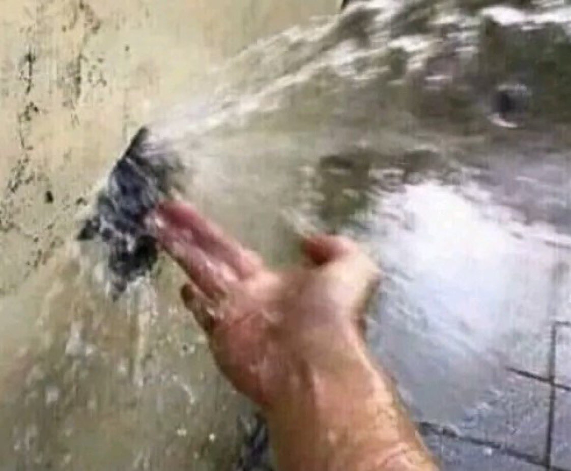 Quando o boy faz do jeitinhø que a gente gosta 🥵