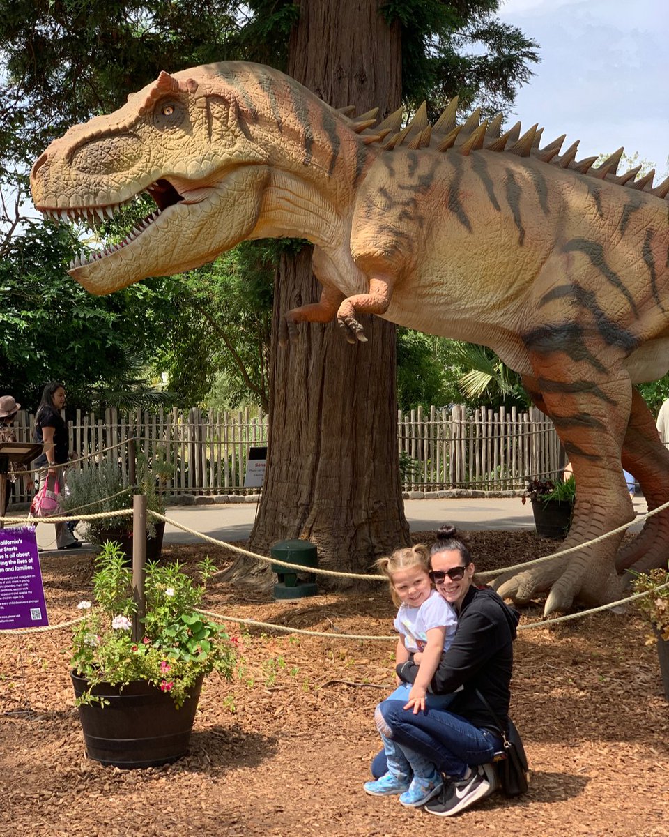 theVIParolaz's tweet photo. Just explored the Sacramento Zoo for the first time over the weekend and it was amazing! They have a Dinosaur Safari going on and Marvel loved seeing them up close. Most of them made noises or moved too which was really cool! If your child loves dinosaurs and animals, this is a m https://t.co/PcIwAEpG4Z