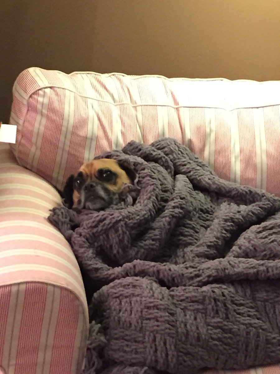 Rip Mojo, he was the best of us😔🙏