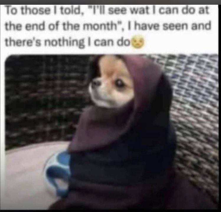 juwakiee's tweet photo. @NoContextHumans https://t.co/1UG5nGVYTq