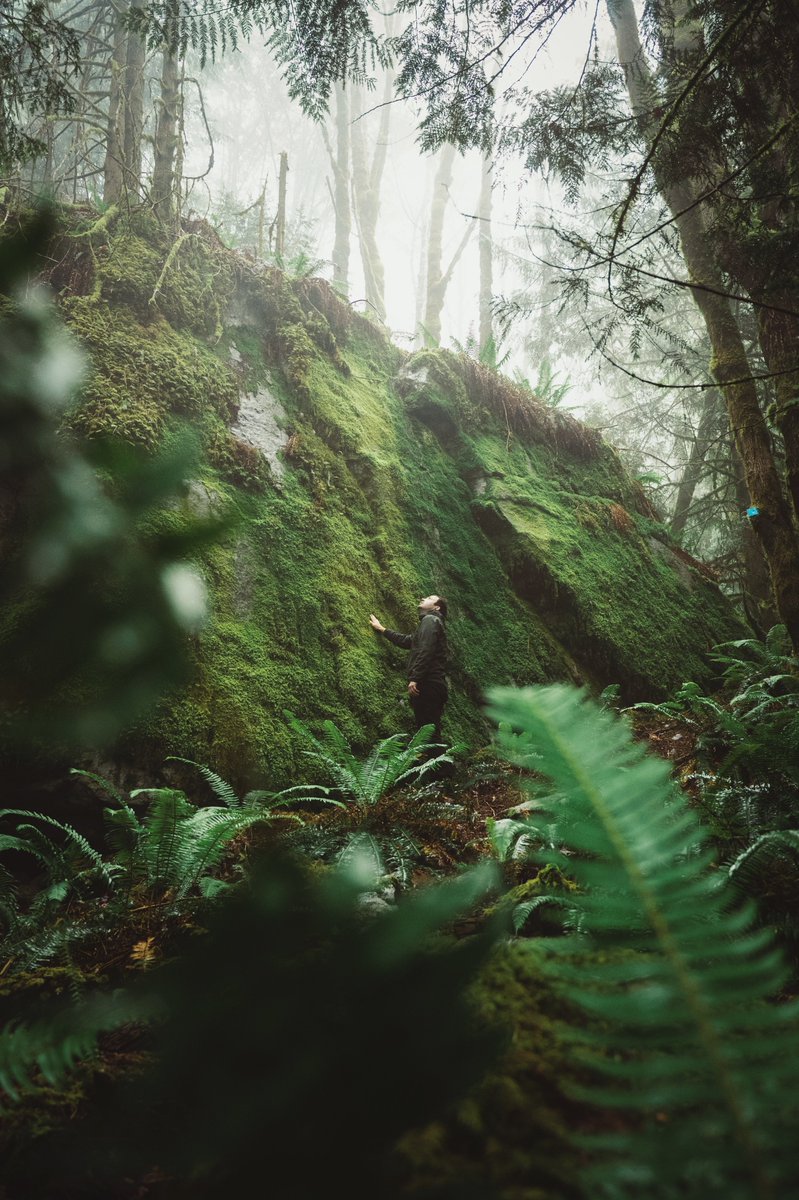 1/2 

In A Dream 
with <a href="/JuusoHD/">Juuso ✨ Audiovisual Artist</a> 

This weekend I went to visit friend and artist Juuso for the first time in person. The weekend was full of artistic exploration through visual and sonic means, going with what came to us spontaneously rather than preplanning.