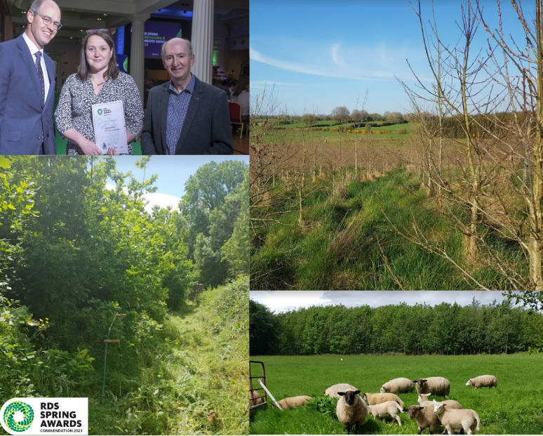I was delighted that our forest came second in the  <a href="/TheRDS/">The RDS</a> Awards. This is a predominantly oak woodland we as a family planted together over the Christmas holidays of 2014 on land that has been in our family since the 1880s. Thanks to <a href="/teagasc/">Teagasc</a> for sponsoring the award.