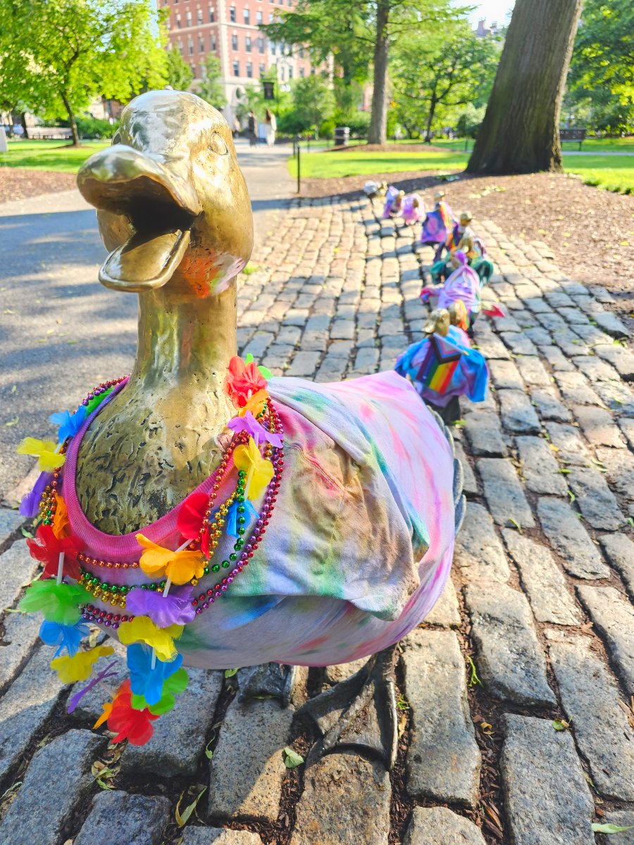 Only In Boston tweet media