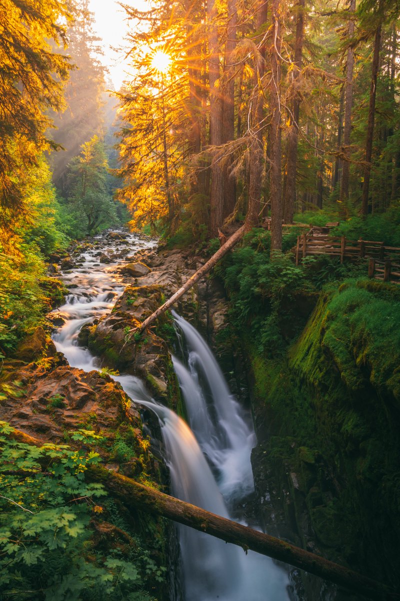 NationalParkFdn's tweet photo. This sunrise photo taken at @OlympicNP was submitted by Scott Malagold in 2021’s #ShareThe Experience photo contest and was a winner in the Scenic, Seasons & Landscapes category.
Later this week, we’ll announce the winners of last year’s contest and open 2023's for submissions! https://t.co/yO4ZOVOWnE