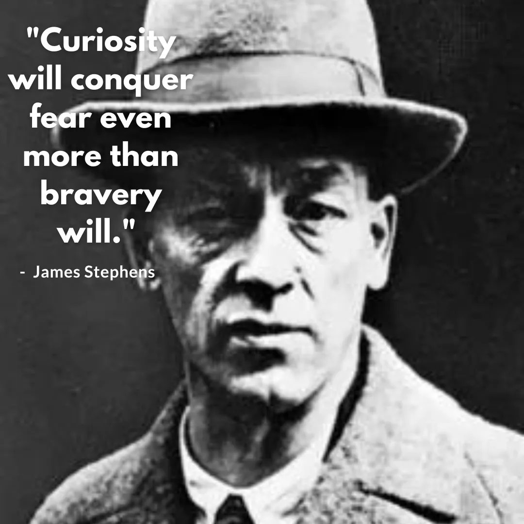 ToffysDomesNft's tweet image. How curious are you?

#curiousity #creativity