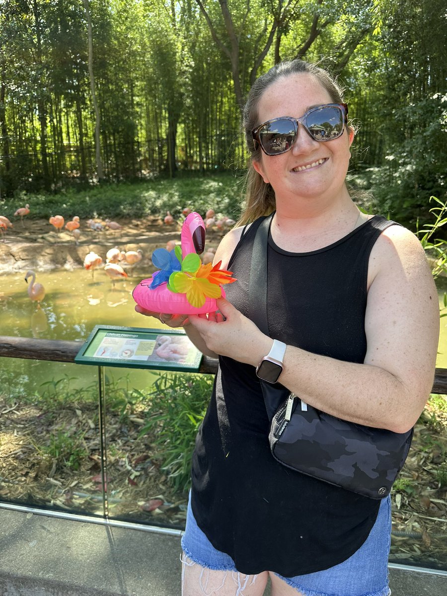 Gertie the #NotSoFlatFlamingo loved meeting real flamingos at Zoo Atlanta!