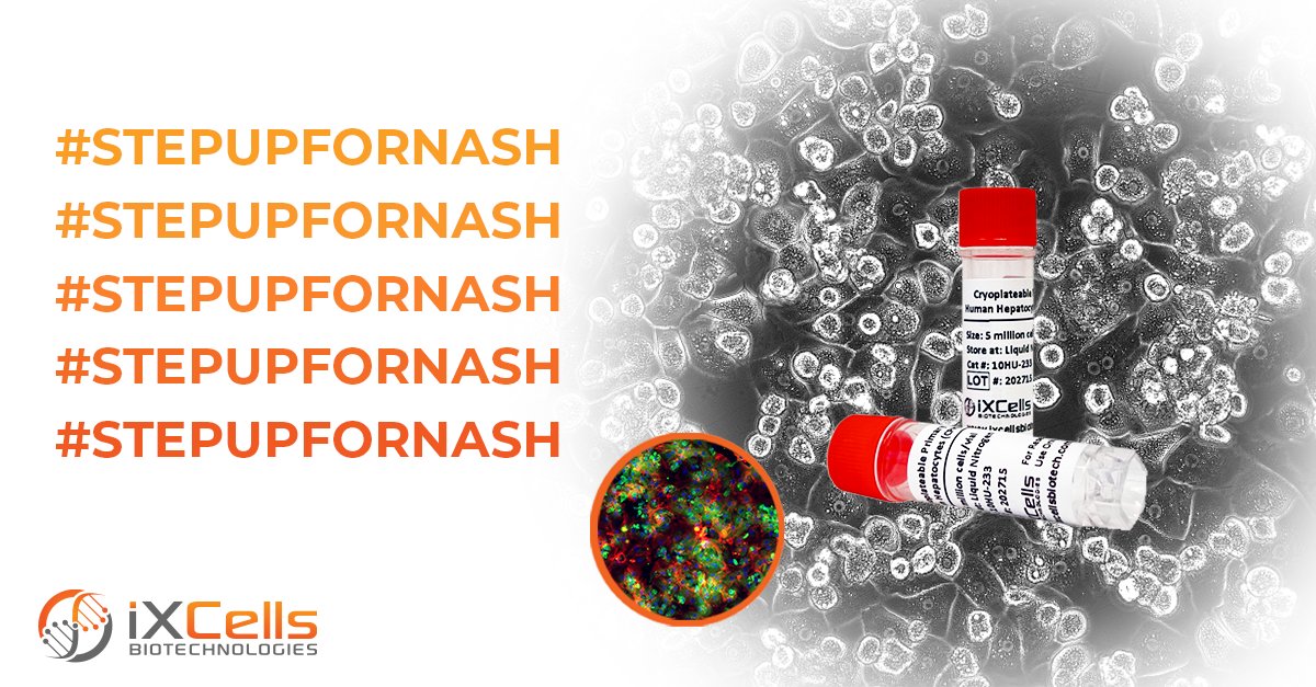 Join us in supporting #NASHDay and raising awareness about nonalcoholic steatohepatitis, a serious #liverdisease. At iXCells, we provide human hepatic-derived cells to empower research in combating #NASH. hubs.la/Q01T9T2n0

 #drugtesting #drugdiscovery #StepUpforNASH