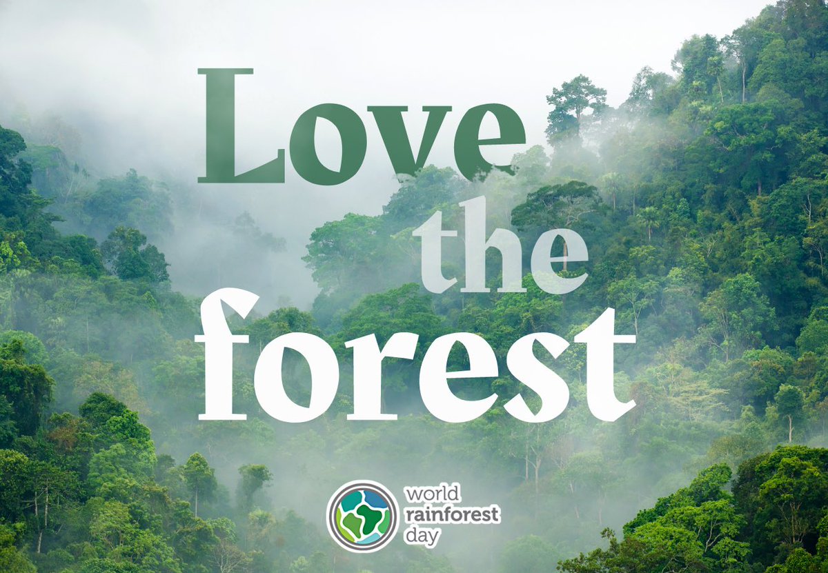Happy #WorldRainforestDay! We #LoveTheForest!
Join us in showing love for these incredible ecosystems, vital allies in our fight against climate change and sanctuaries of unique and irreplaceable biodiversity. #ClimateActionNow #ForNature #SustainableLiving