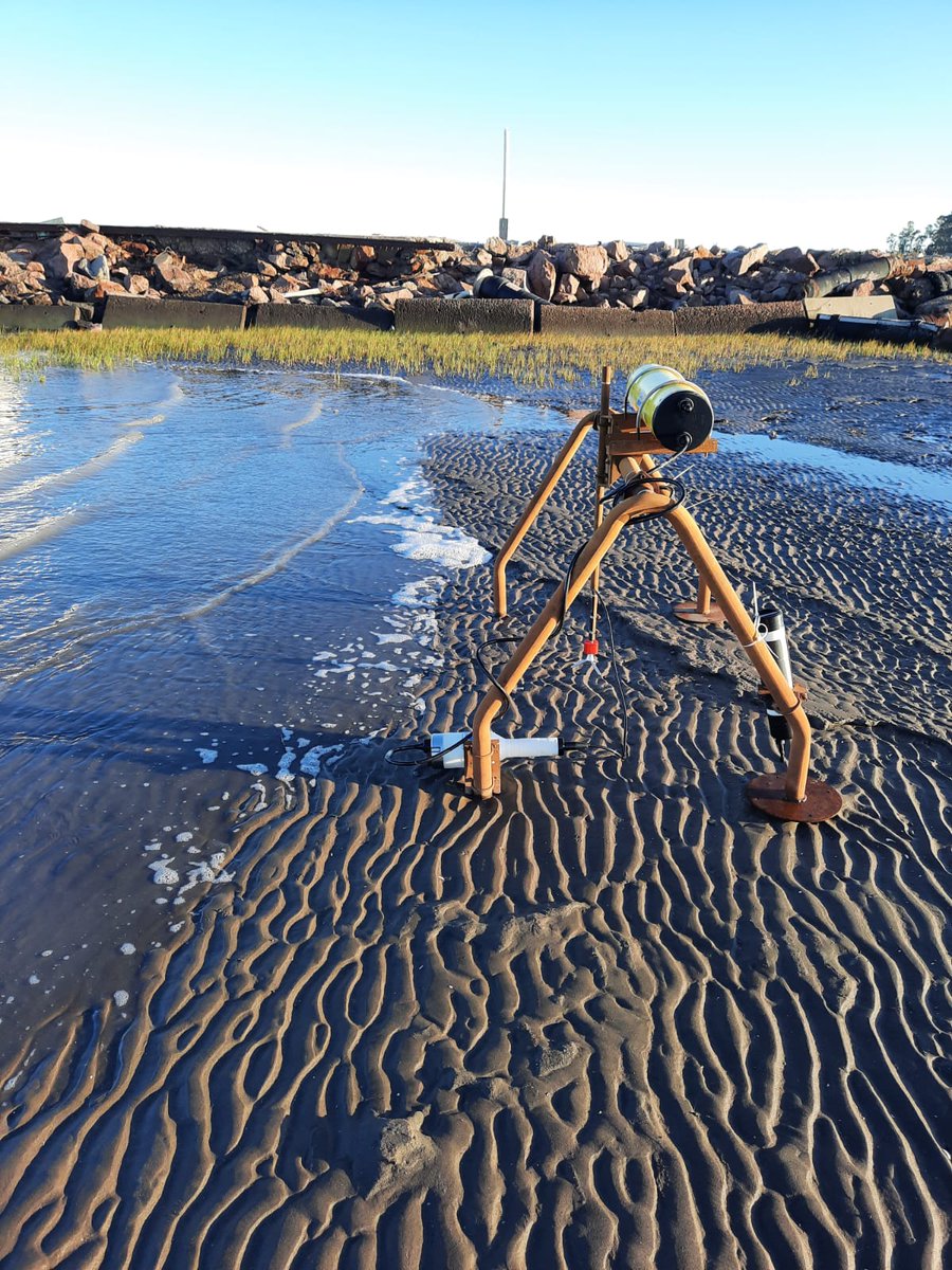WilliamJaen's tweet photo. De campaña en Villa del Mar, estuario de Bahía Blanca. Instituto Argentino de Oceanografía. #IADO https://t.co/j4a0veEFFe