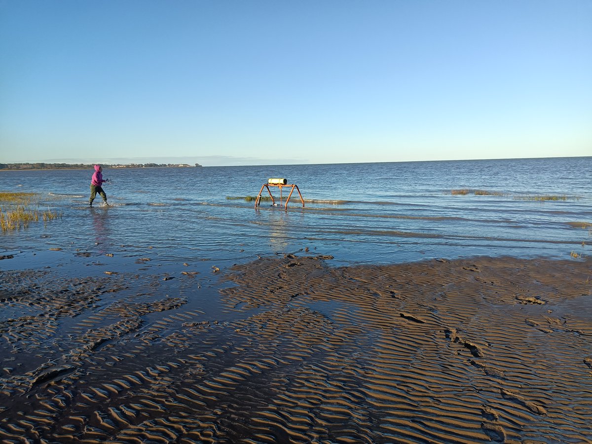 WilliamJaen's tweet photo. De campaña en Villa del Mar, estuario de Bahía Blanca. Instituto Argentino de Oceanografía. #IADO https://t.co/j4a0veEFFe