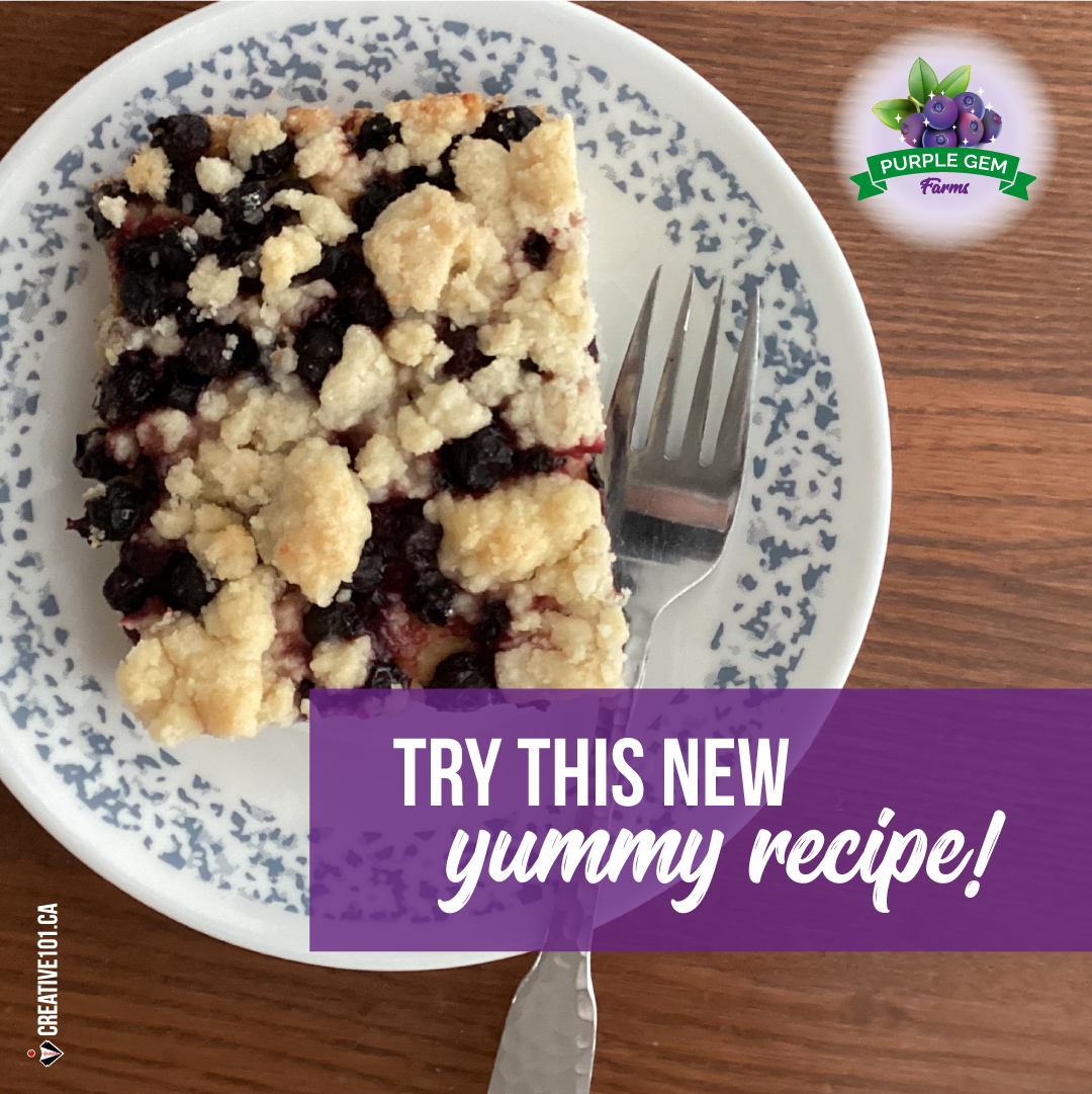 Looking for a Saskatoon Berry recipe to try? This one's on our website with other great recipes! purplegem.ca/recipes 

We've tested it so we know you'll love it! 😊👍💜

#SaskatoonBerries #LeducBusiness #BerriesForRestaurants #BerriesForBakeries #NaturesLittleGem