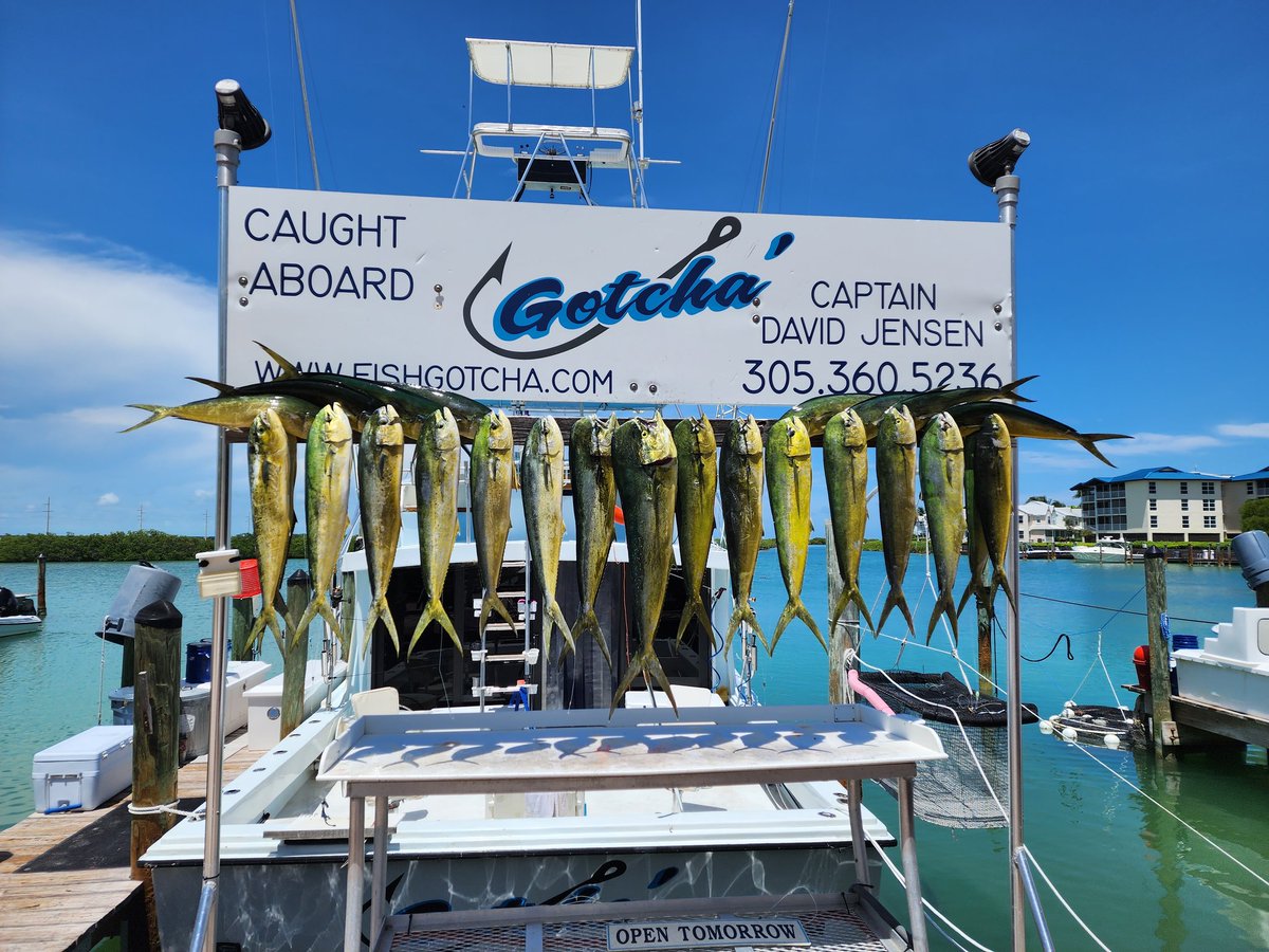 larrytorri's tweet photo. Awesome day fishing for mom's memorial.  Lot of fish and even more laughs.  We caught a ton for ya mom! https://t.co/SGB96Zn4tx