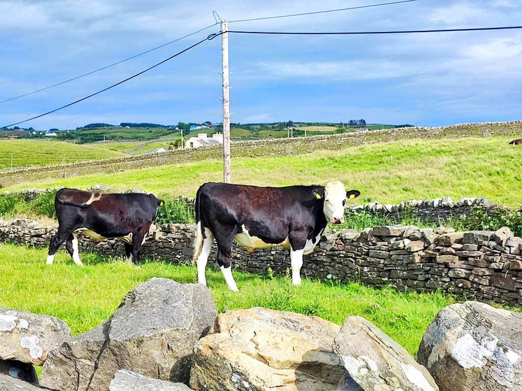 Home #WildAtlanticWay #lahinch #coclare