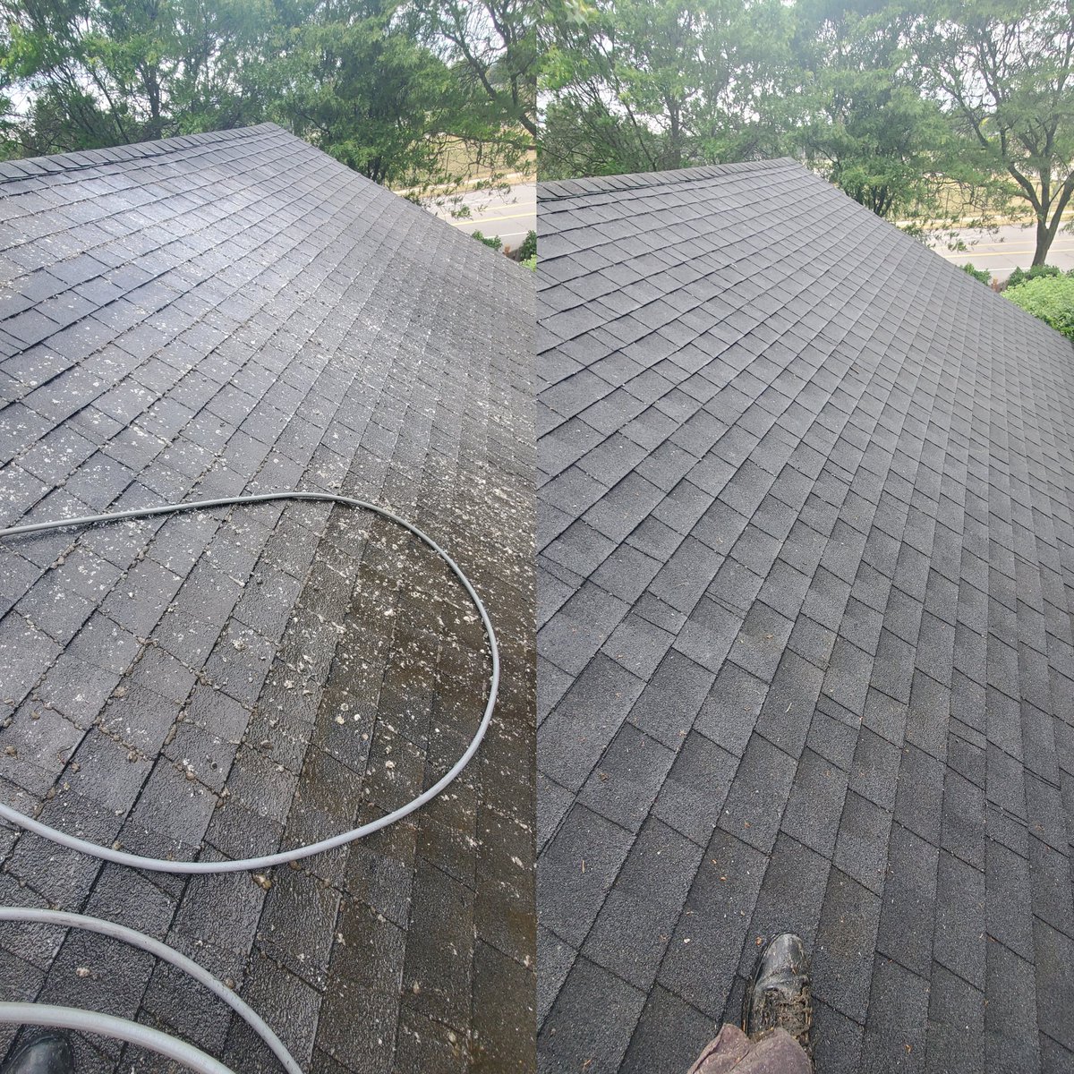 EandSPowerWash's tweet photo. Roof Blow off and Roof Washing in Plymouth, Michigan #BeforeandAfter #Fyp #ForYourPage #ForEveryone #RoofWash #RoofWashing #SoftWash #SoftWashing #ExteriorWash #ExteriorWashing #ExteriorCleaning #ExteriorRoofCleaning #ExteriorRoofWashing #EandSPowerWashing https://t.co/9vhS1jyoP6