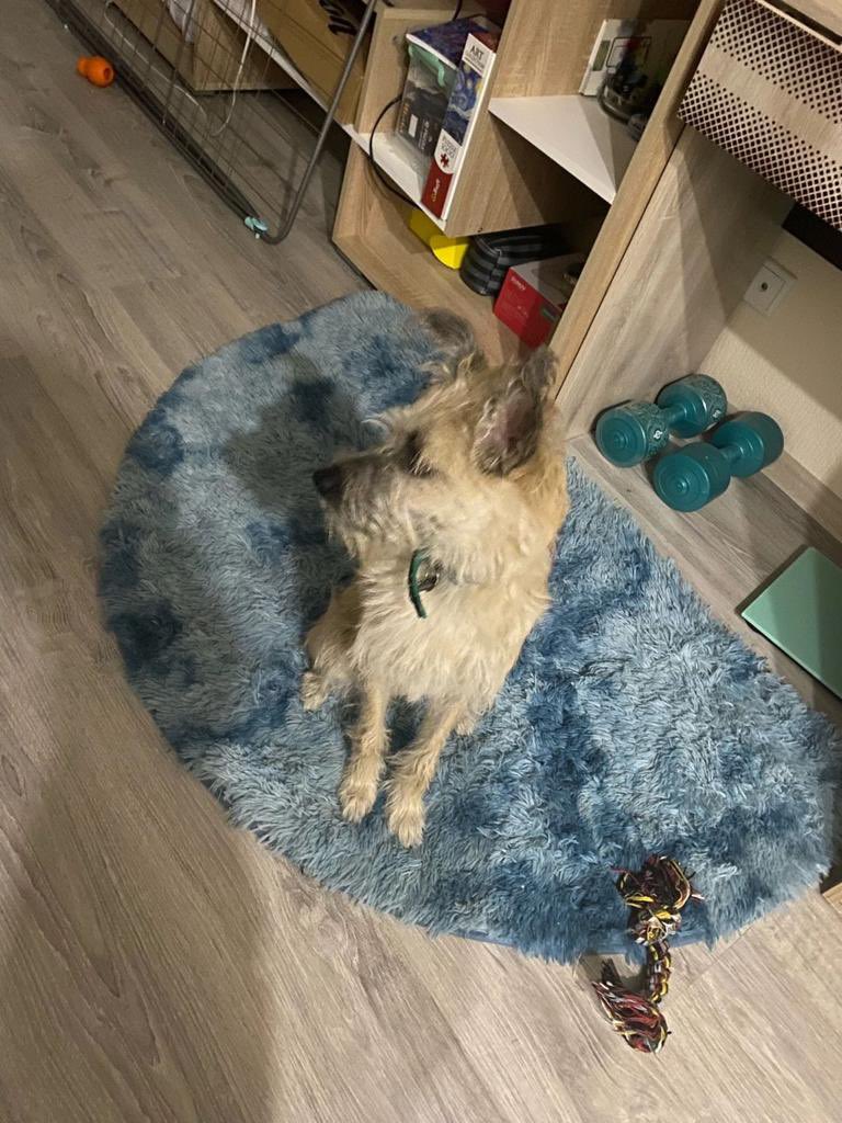 ВЗРОСЛЫЙ КОНТЕНТ on Twitter: "RT @teacherrka: МОСКВА/МО/БАЛАШИХА Элли ...