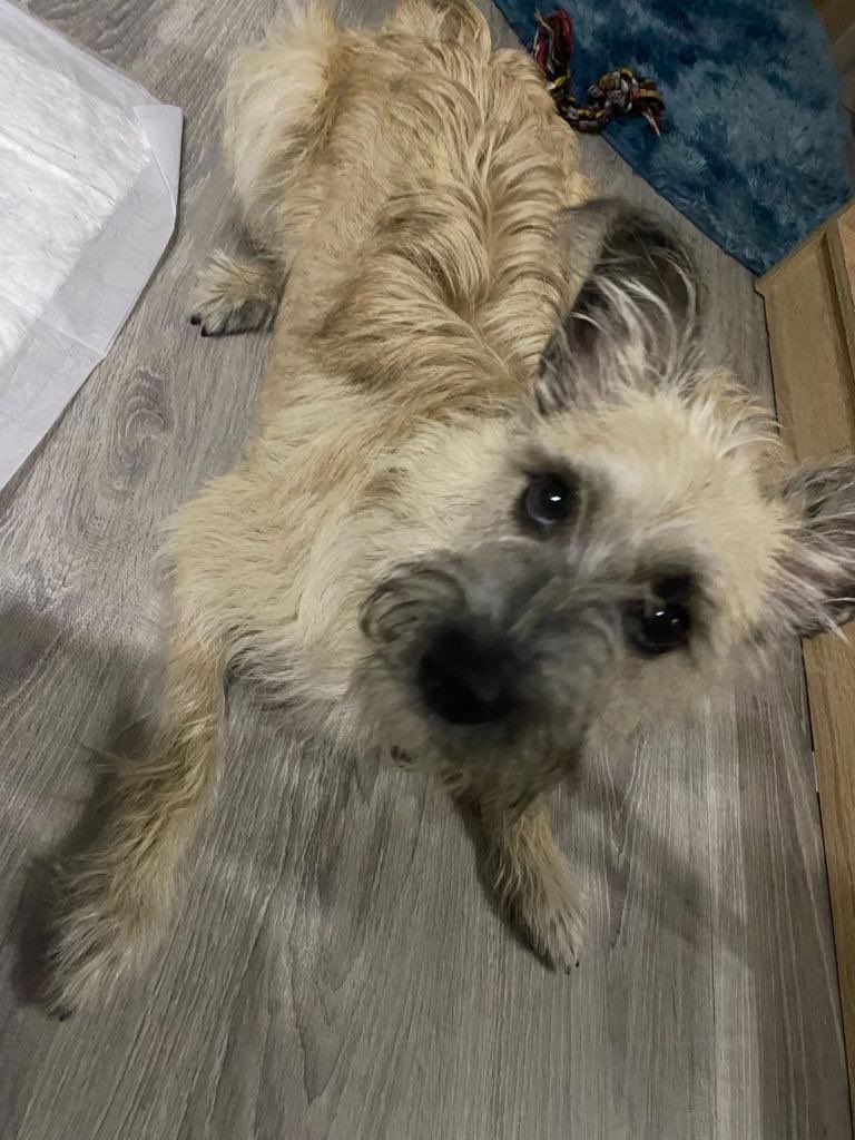 ВЗРОСЛЫЙ КОНТЕНТ on Twitter: "RT @teacherrka: МОСКВА/МО/БАЛАШИХА Элли ...